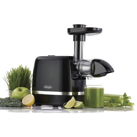 Omega Cold Press 365 Masticating Slow Juicer with  